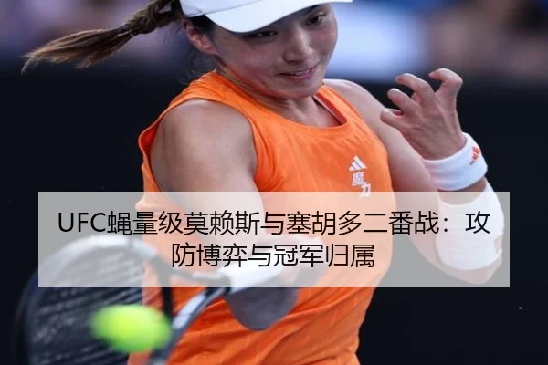 UFC蝇量级莫赖斯与塞胡多二番战：攻防博弈与冠军归属
